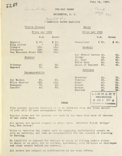 American grown narcissi [price list]
