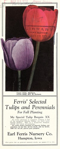 Ferris' selected tulips and perennials for planting