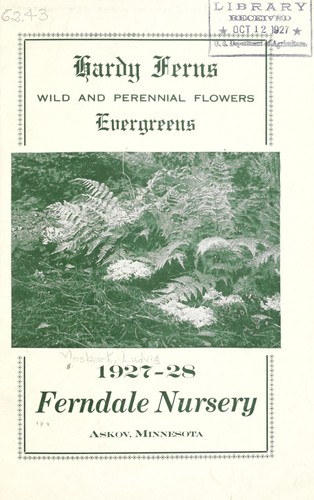 Hardy ferns, wild and perennial flowers, evergreens