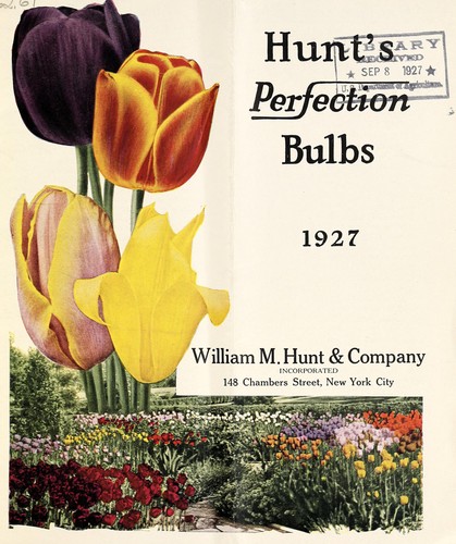 Hunt's perfection bulbs