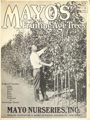 Mayo's fruiting age trees [catalog]