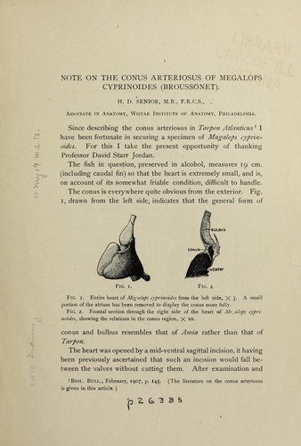 Note on the conus arteriosus of Megalops cyprinoides (Broussonet)
