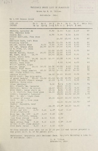 Wholesale price list of gladiolus