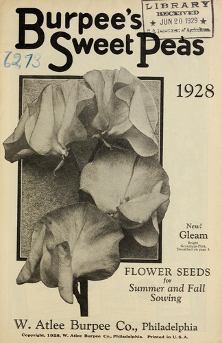 Burpee's sweet peas, flower seeds for summer and fall sowing