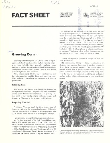 Growing corn