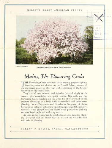 Malus, the flowering crabs