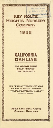 1928 California dahlias