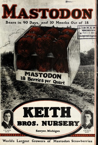 Mastodon