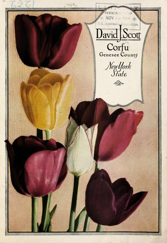 David J. Scott [catalog]