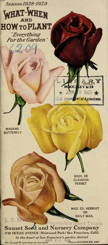 What-when and how to plant everything for the garden