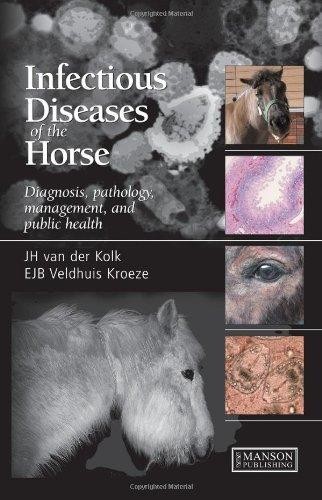 Infectious diseases of the horse