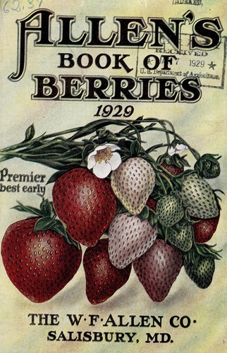 Allen's book of berries for 1929
