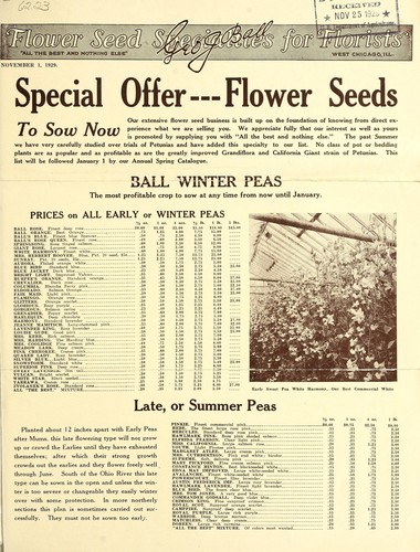 Flower seed specialties for florists