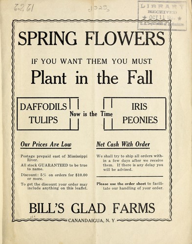 Spring flowers