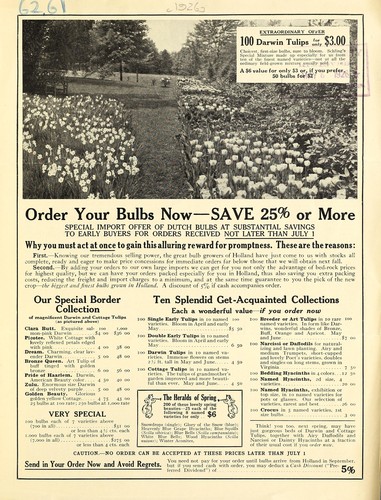 Order your bulbs now