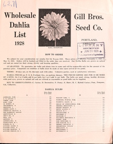 Wholesale dahlia list