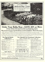 Order your bulbs now