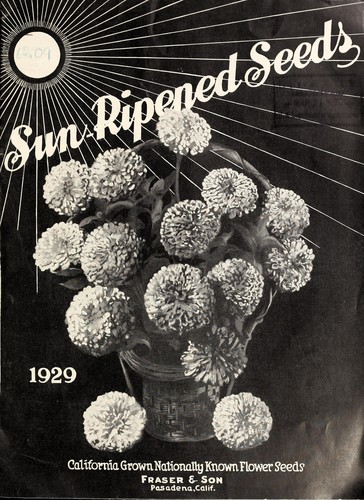 Sun-ripened seeds