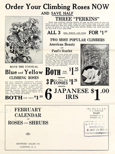 February calendar of roses and shrubs