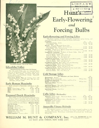Hunt's early-flowering and forcing bulbs
