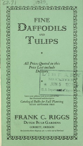 Fine daffodils and tulips