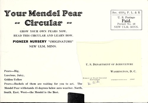 Your Mendel pear circular