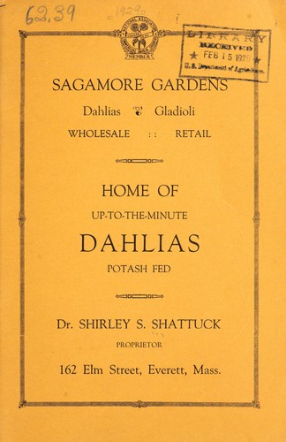 Dahlias, gladioli