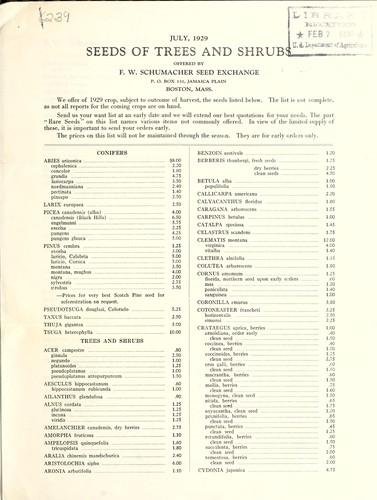 Seeds of trees and shrubs offered by F. W. Schumacher Seed Exchange