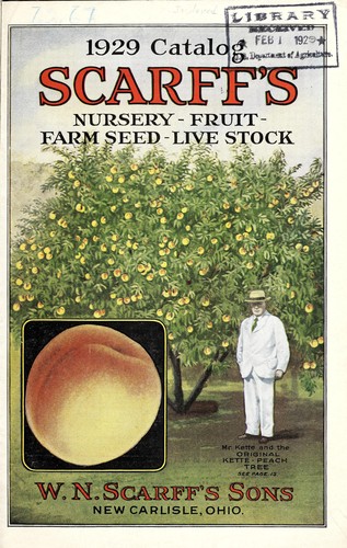 1929 catalog