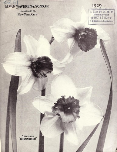 M. van Waveren & Sons, Inc., 1929