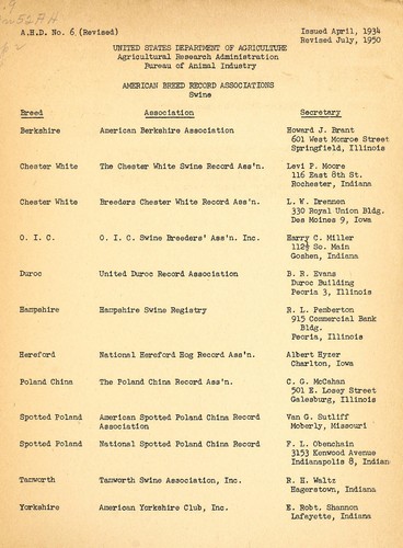 American breed record associations