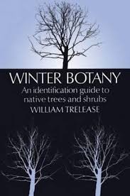 Winter botany