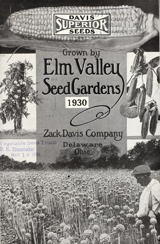 Davis superior seeds grown by Elm Valley Seed Gardens, 1930