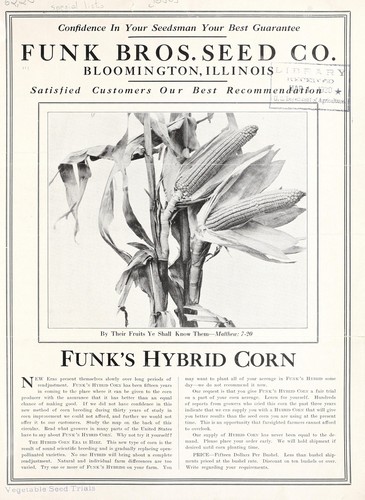 Funk's hybrid corn