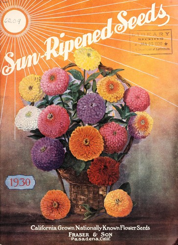 Sun-ripened seeds, 1930