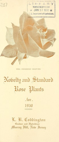 Novelty and standard rose plants for 1930