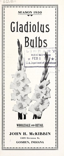 Gladiolus bulbs