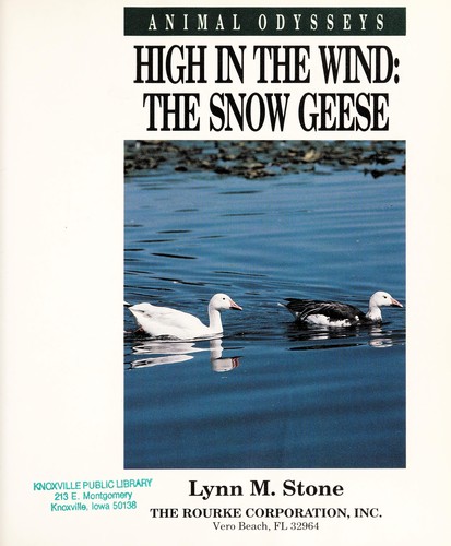 High in the Wind