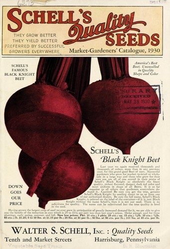 Schell's quality seeds
