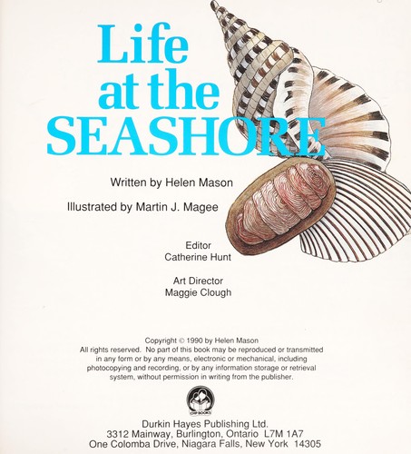 Life at the Seashore