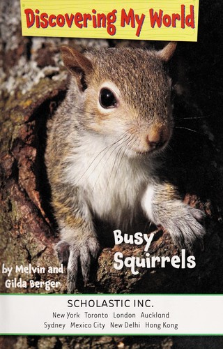 Busy squirrels