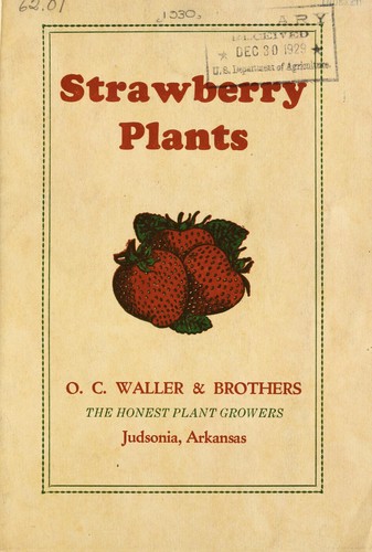 Strawberry plants [catalog]