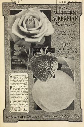 A complete line of nursery stock direct to growers, 1930