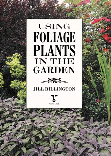 Using foliage plants in the garden
