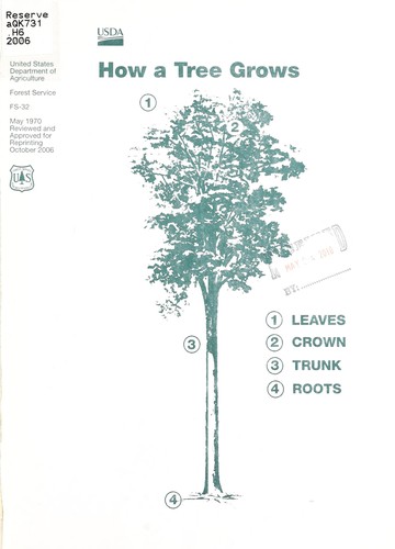 How a tree grows