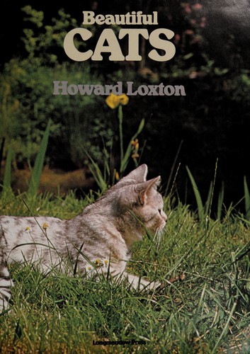 Beautiful Cats