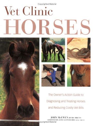 Vet Clinic for Horses