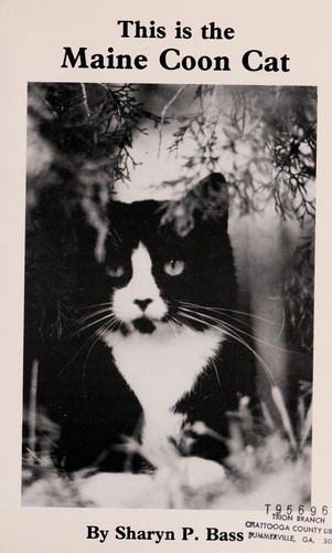 This is the Maine Coon Cat