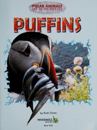 Puffins