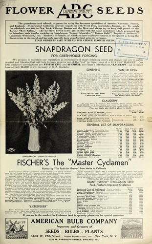 Flower ABC supreme quality seeds